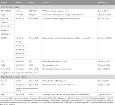 LncRNA-miRNA-mRNA regulatory networks in skin aging and therapeutic potentials